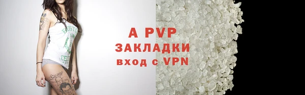 прущие грибы Нефтегорск