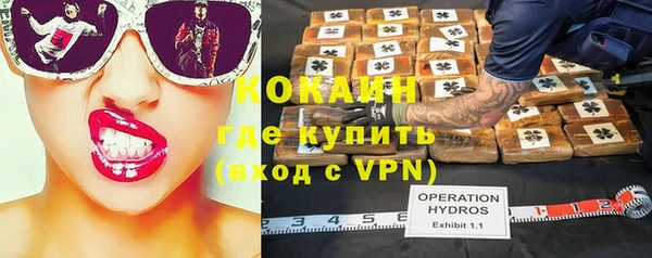 прущие грибы Нефтегорск