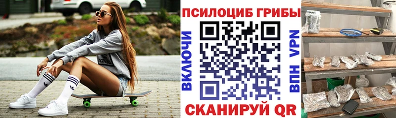 Псилоцибиновые грибы Psilocybe  Купить  Оханск 